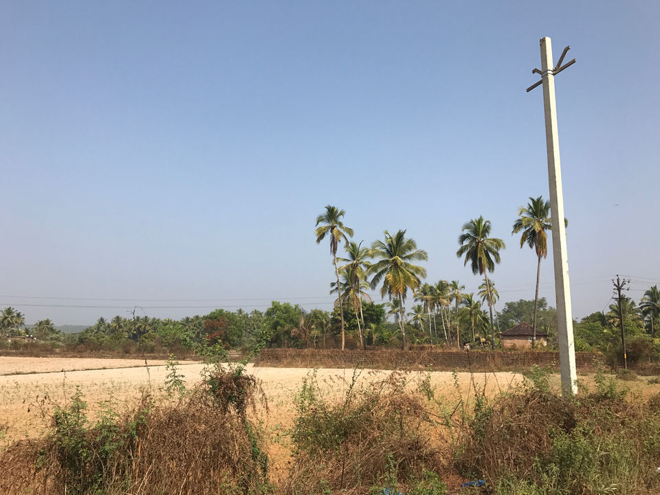 Photo of Arpora by Vishvanath Bhatt
