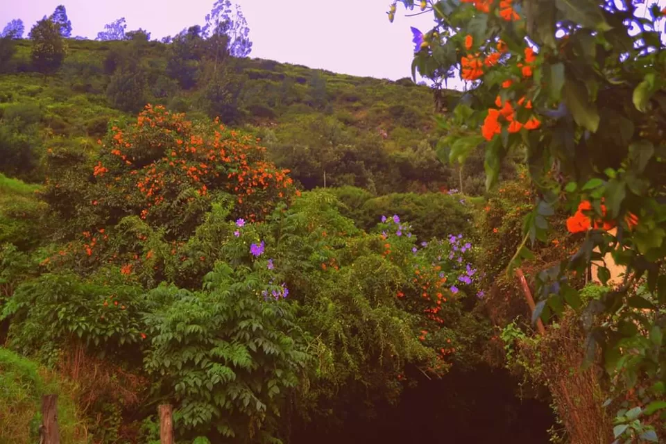 Photo of Hypnotizing Ooty! #notinnorth by Baishakhi Chakraborty