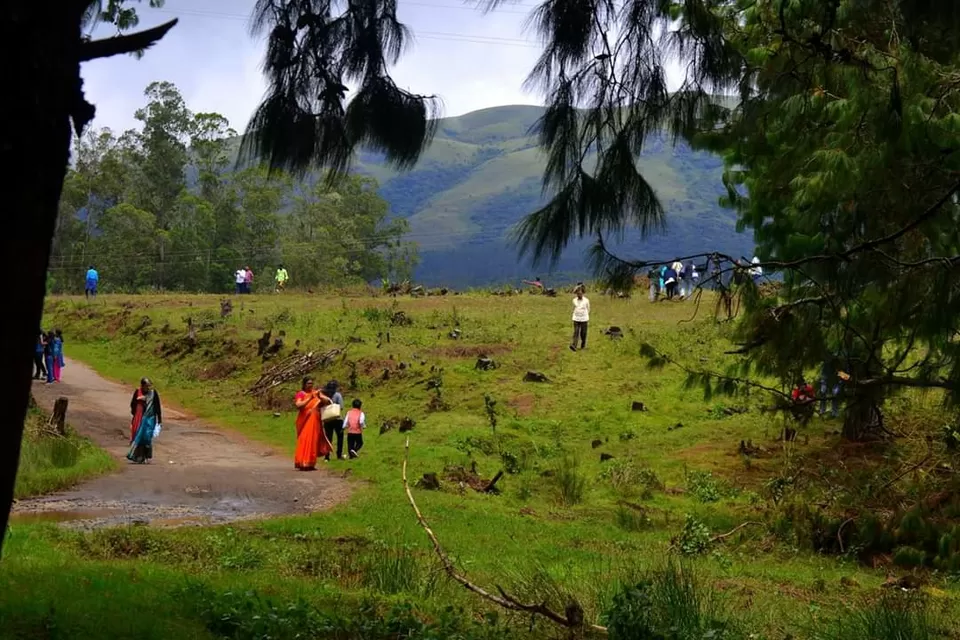Photo of Hypnotizing Ooty! #notinnorth by Baishakhi Chakraborty