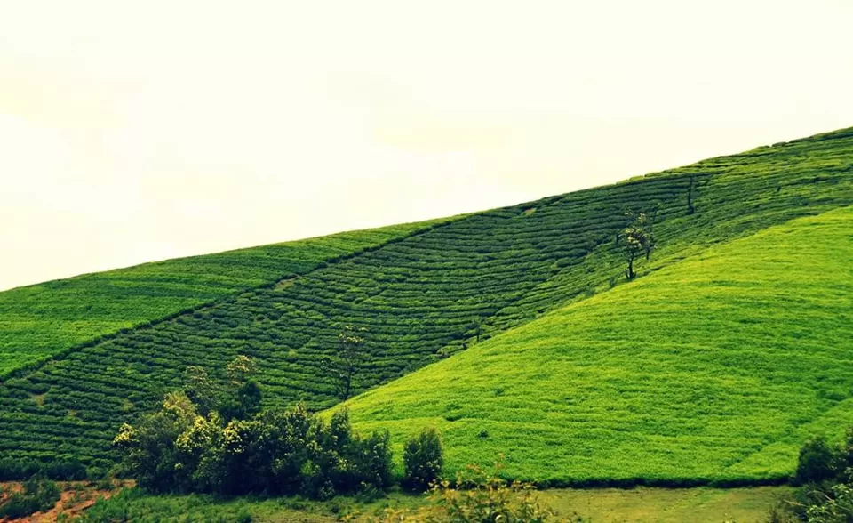 Photo of Hypnotizing Ooty! #notinnorth by Baishakhi Chakraborty