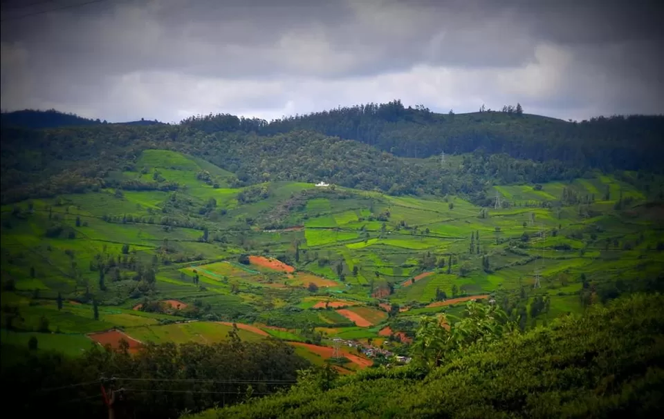 Photo of Hypnotizing Ooty! #notinnorth by Baishakhi Chakraborty