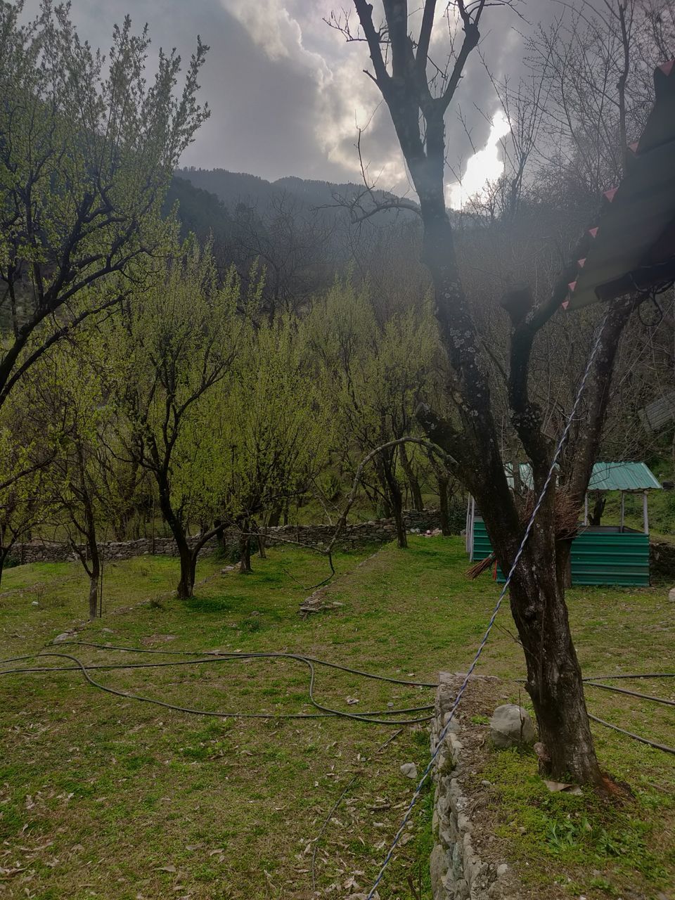Photo of People call it Jibhi, I call it paradise on Earth by Uttara Shankar