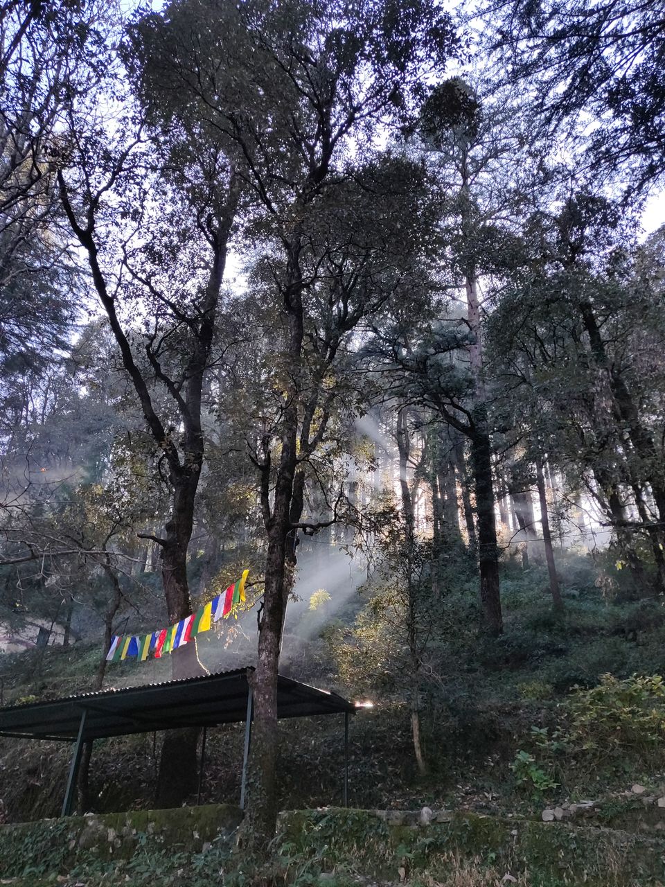 Photo of Weekend budget trip to this dreamy little town 'Landour' by Uttara Shankar