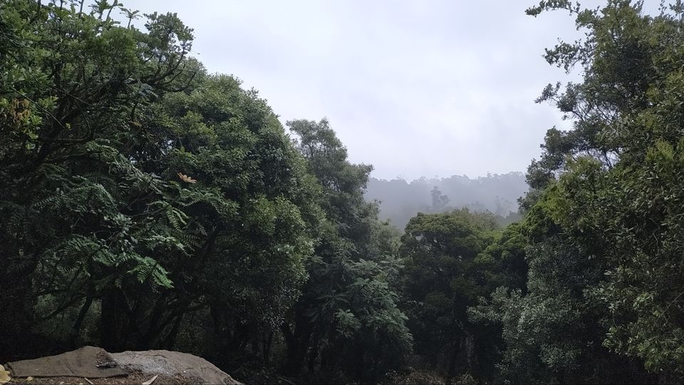 Photo of A must visit place in summer # Ooty # Romantic trip # In love with whether by nikhat muddebihal
