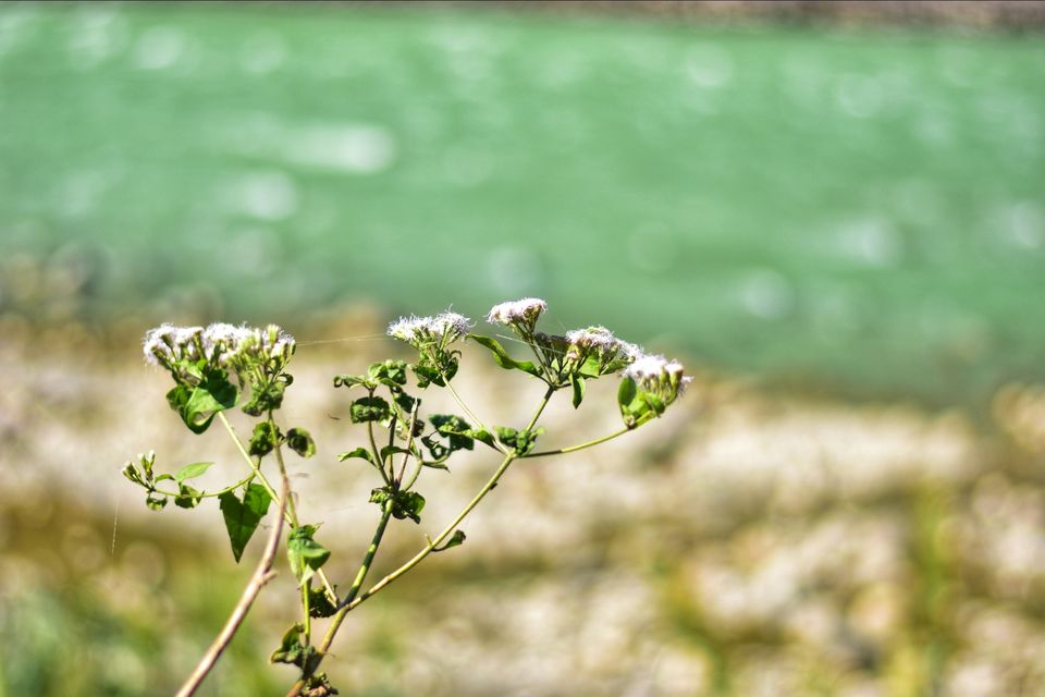 Photo of Short trip to gangtok by Saikat Maiti