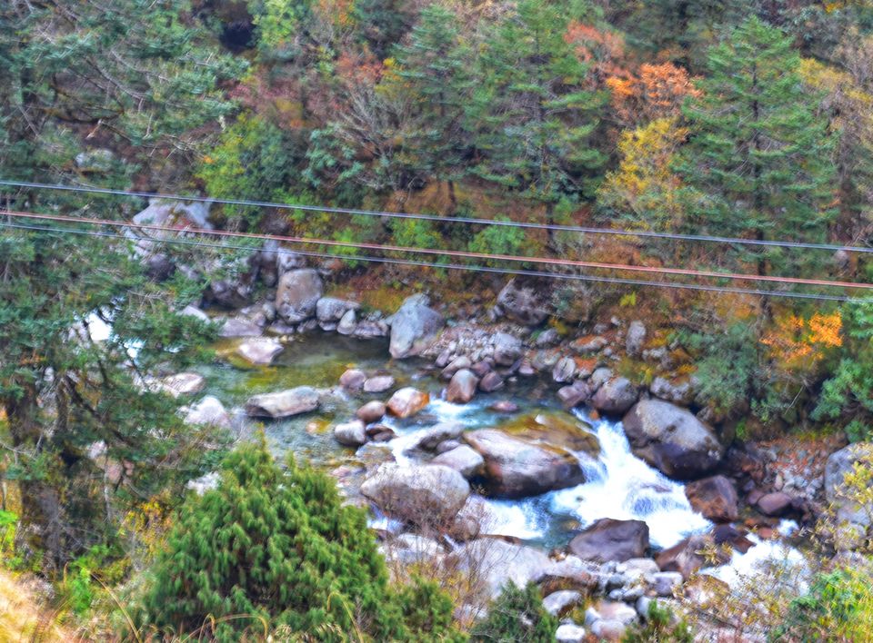 Photo of Short trip to gangtok by Saikat Maiti