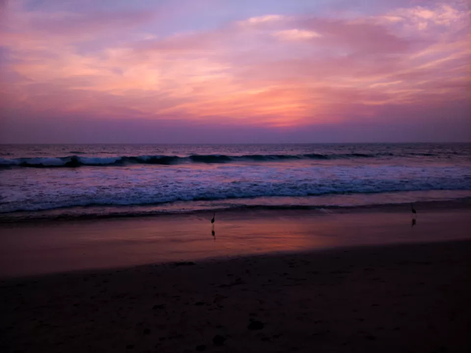 Photo of Gujarat By Abhay Joshi