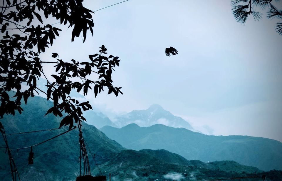 Photo of Weekend trip to MecLeod Ganj + Triund Trek (India) by Gaurav Ghumakkar