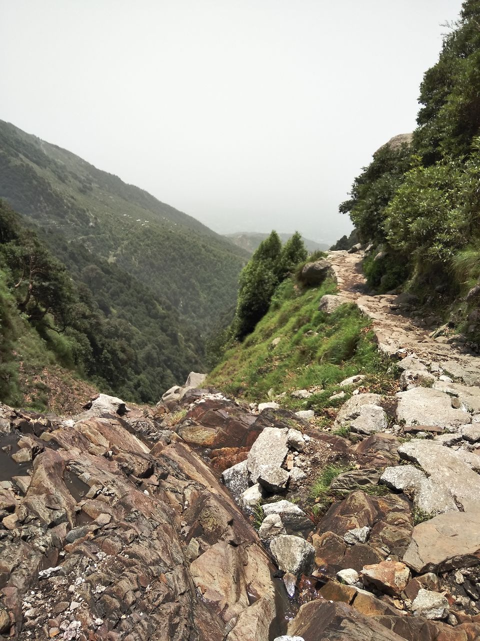 Photo of Weekend trip to MecLeod Ganj + Triund Trek (India) by Gaurav Ghumakkar