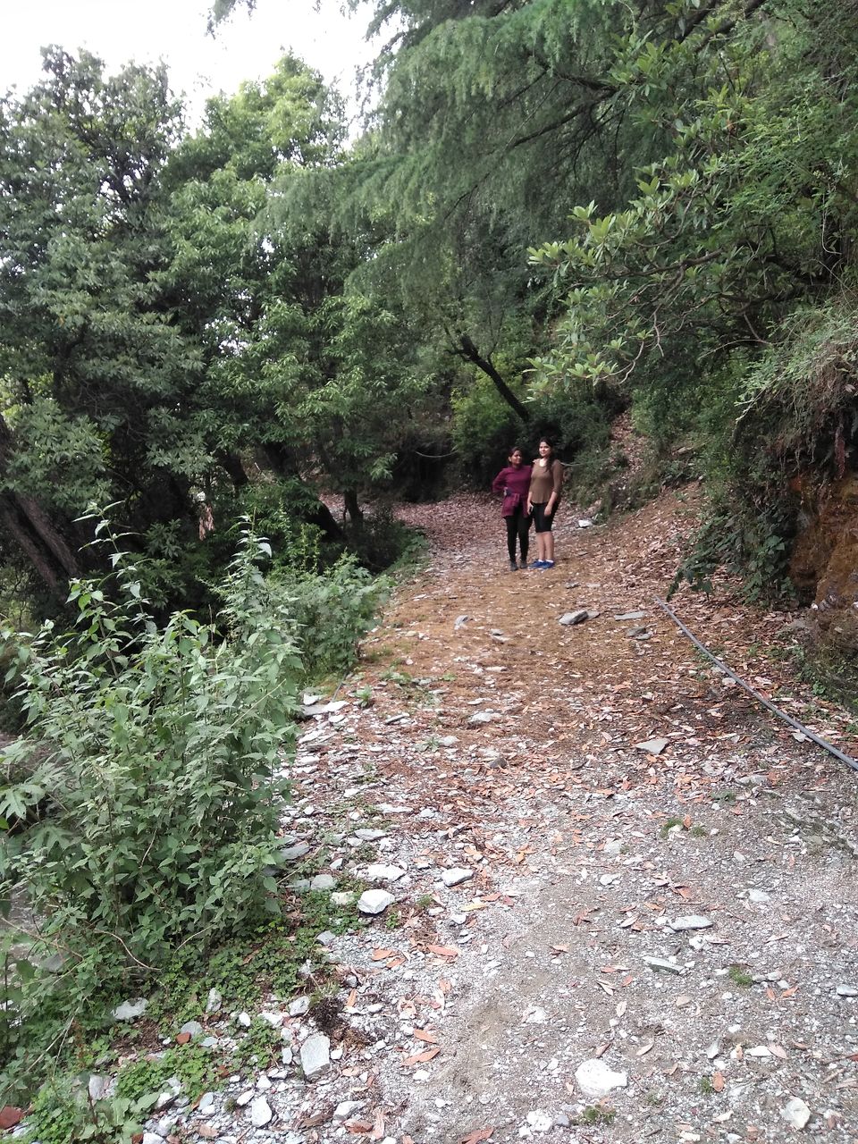 Photo of Weekend trip to MecLeod Ganj + Triund Trek (India) by Gaurav Ghumakkar