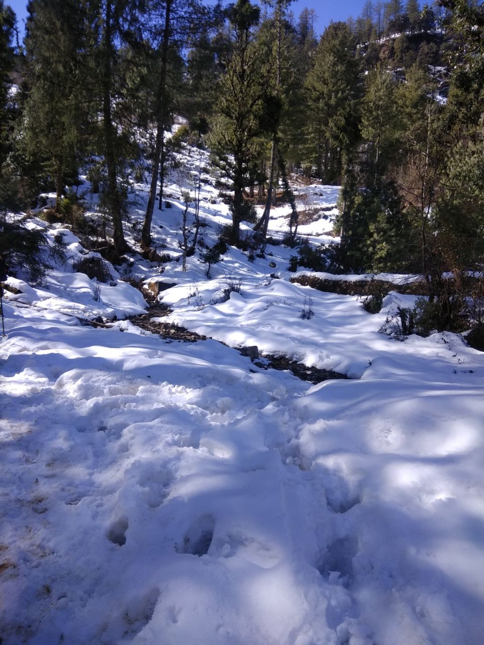 Photo of Sankri, Uttarakhand, India by Ratan Tatikonda