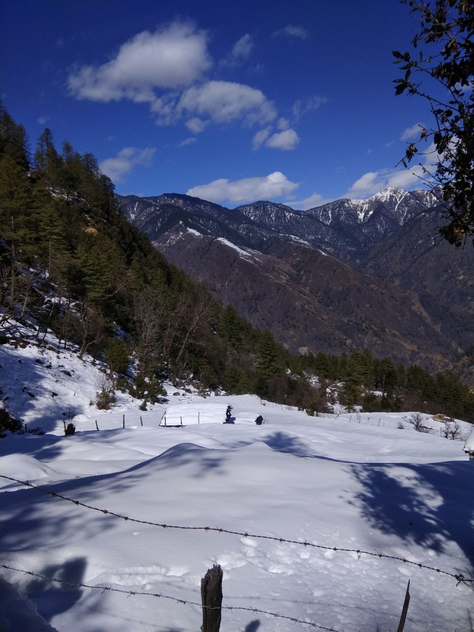 Photo of Sankri, Uttarakhand, India by Ratan Tatikonda