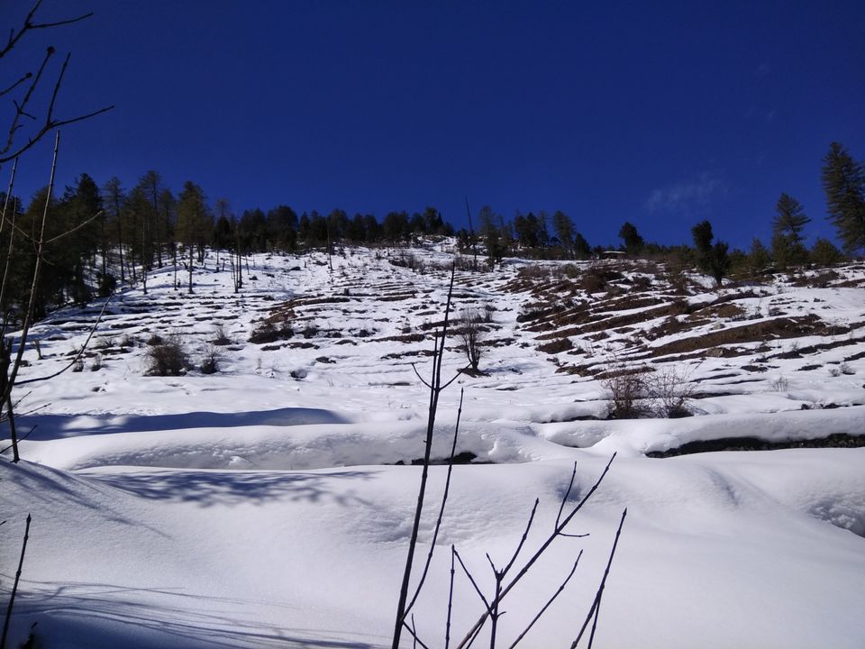 Photo of Sankri, Uttarakhand, India by Ratan Tatikonda
