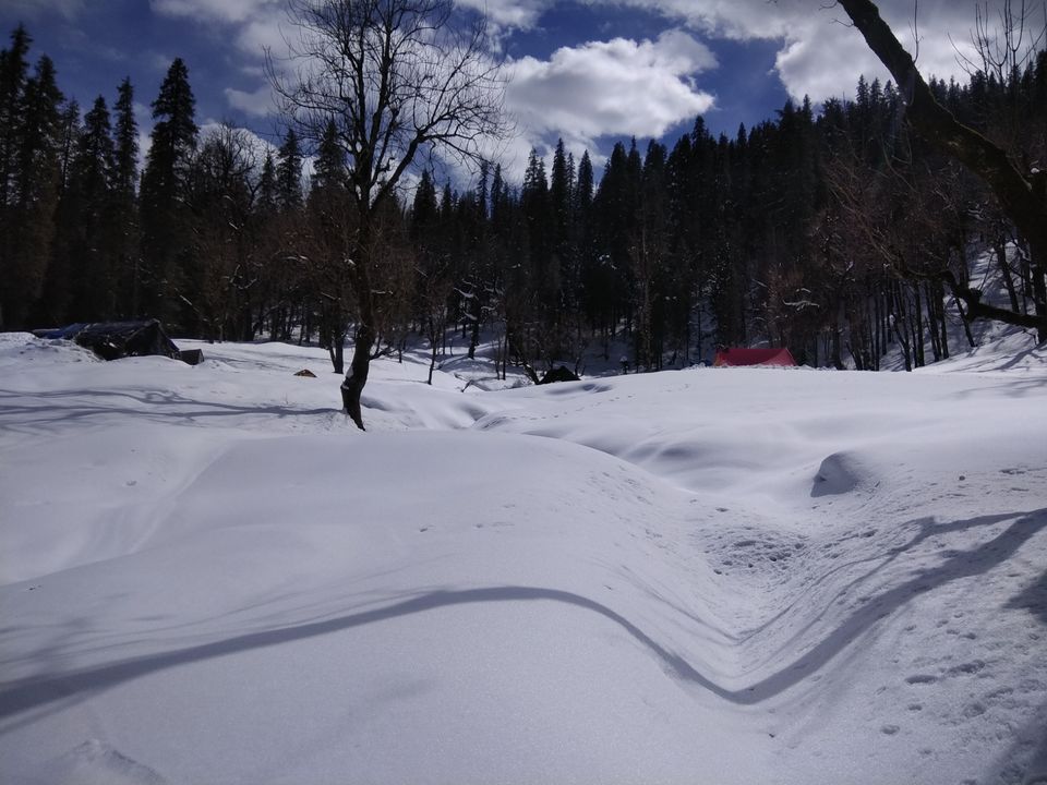 Photo of Sankri, Uttarakhand, India by Ratan Tatikonda