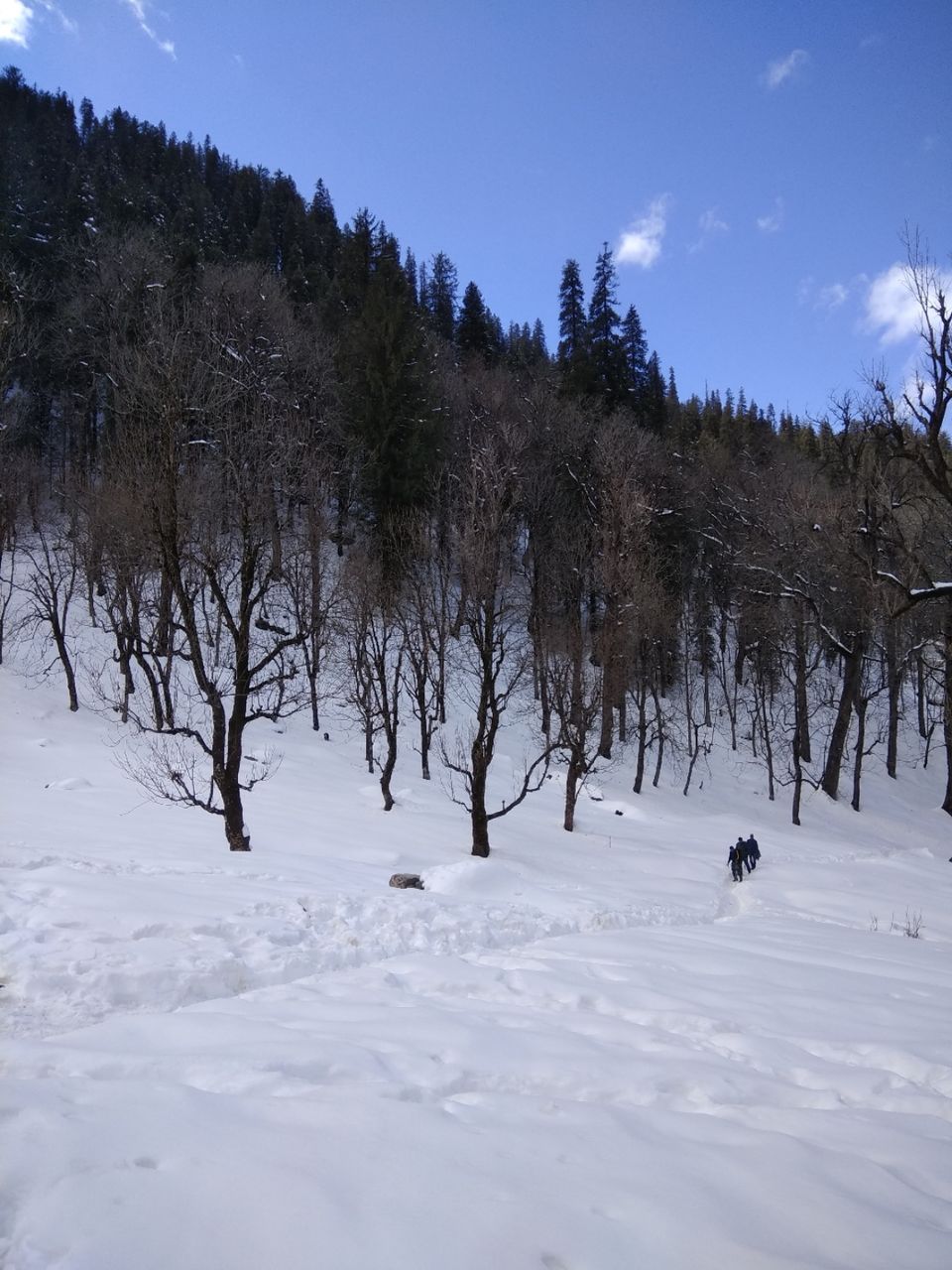 Photo of Sankri, Uttarakhand, India by Ratan Tatikonda