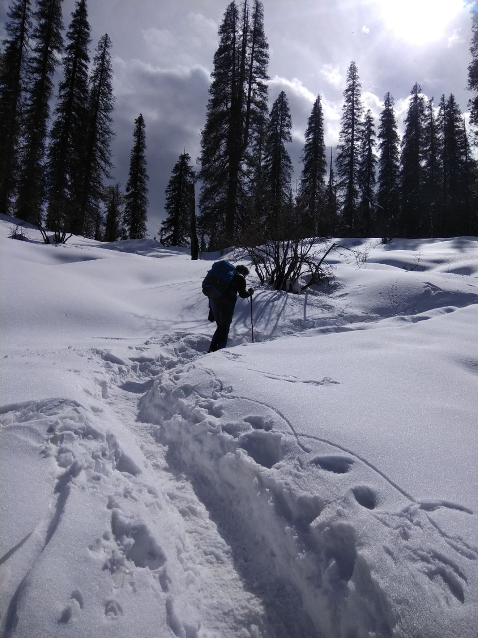 Photo of Sankri, Uttarakhand, India by Ratan Tatikonda