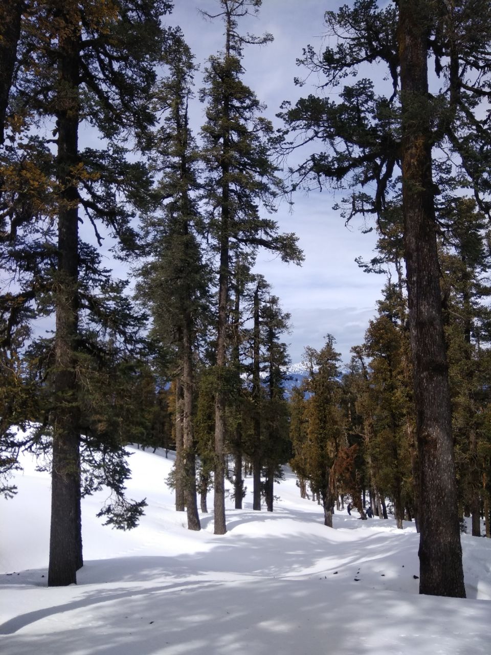 Photo of Kedarkantha Summit, Bandiyar, Uttarakhand, India by Ratan Tatikonda