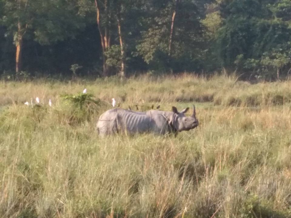 Photo of Mesmerizing budget trip to North - East by Ratan Tatikonda