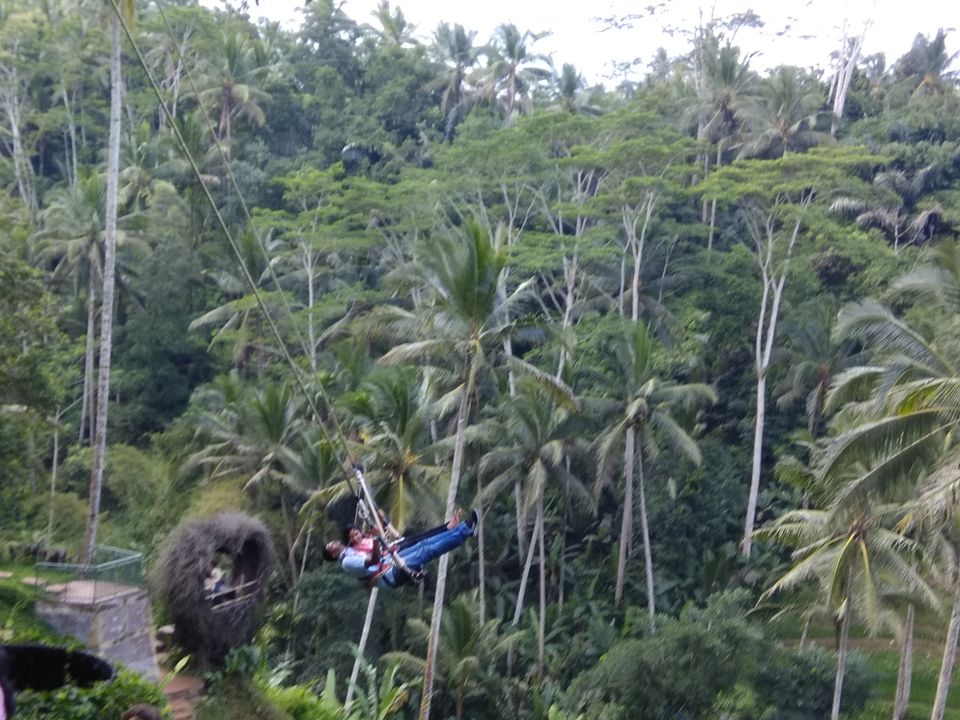 Photo of Tegallalang Rice Terrace, Jalan Raya Tegallalang, Tegallalang, Gianyar, Bali, Indonesia by Ratan Tatikonda