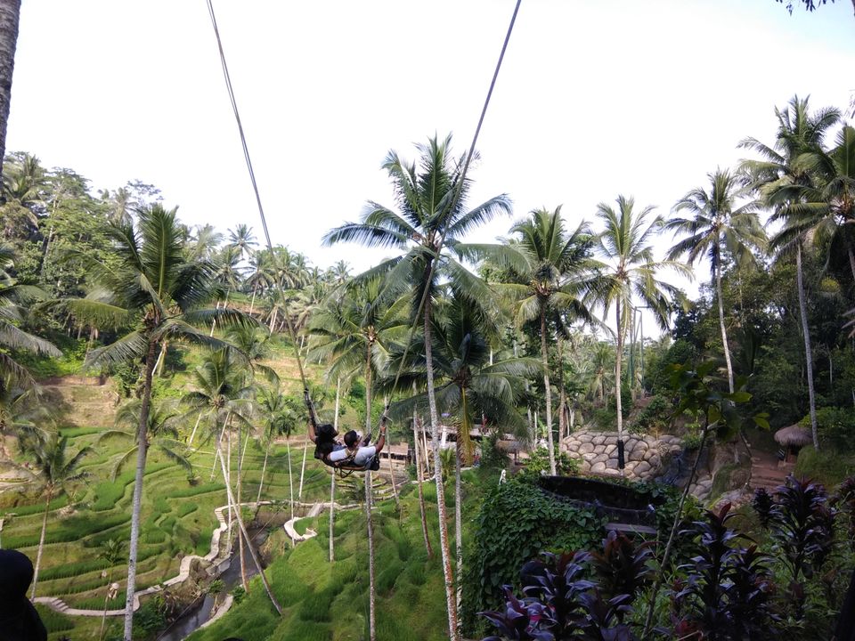 Photo of Tegallalang Rice Terrace, Jalan Raya Tegallalang, Tegallalang, Gianyar, Bali, Indonesia by Ratan Tatikonda