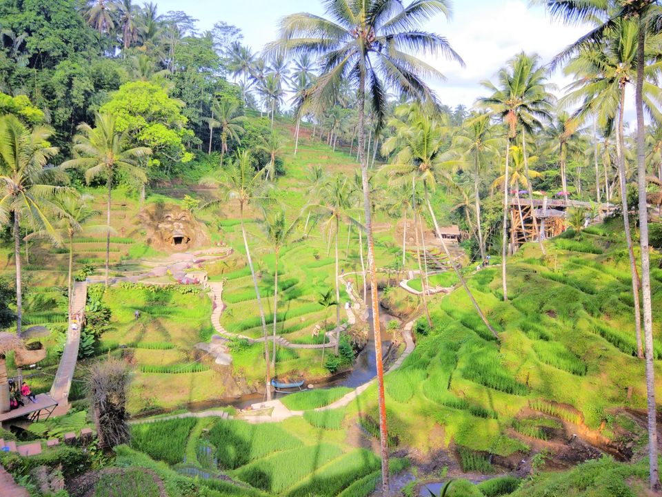 Photo of Tegallalang Rice Terrace, Jalan Raya Tegallalang, Tegallalang, Gianyar, Bali, Indonesia by Ratan Tatikonda