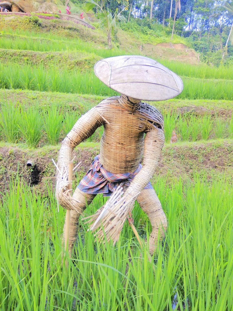 Photo of Tegallalang Rice Terrace, Jalan Raya Tegallalang, Tegallalang, Gianyar, Bali, Indonesia by Ratan Tatikonda