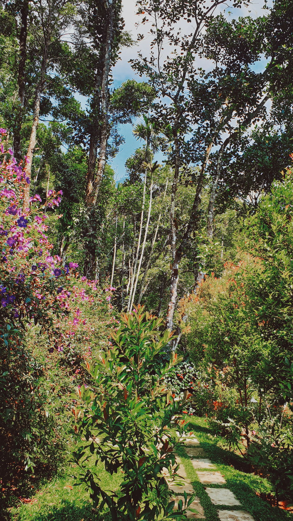 Photo of This boutique hotel in Munnar is what fairy-tales are made up of! #summerescape 14/17 by Simran Jyot Kler