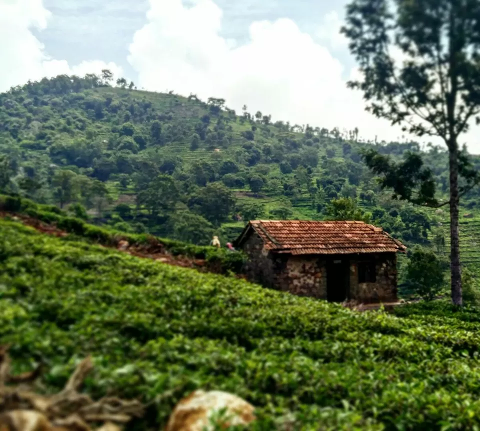 Photo of Ooty - Queen of Hill Stations - Southern India by globetrotterush5