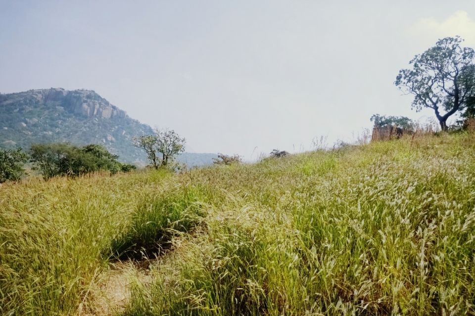 Photo of Siddara Betta, Karnataka, India by globetrotterush5