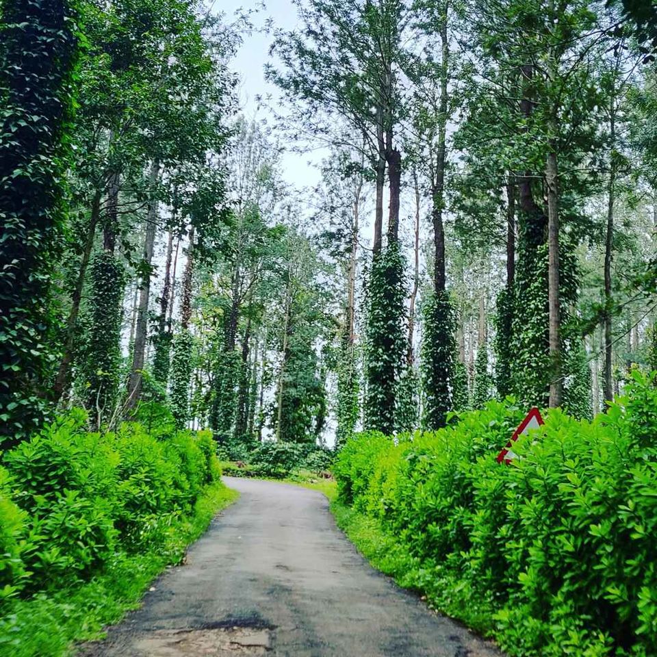 Photo of Kiliyur Falls, Killiyur Road, Pattipadi, Tamil Nadu, India by globetrotterush5
