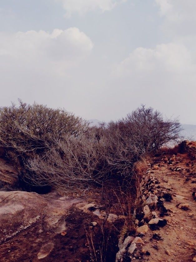 Photo of Makalidurga, Karnataka by globetrotterush5