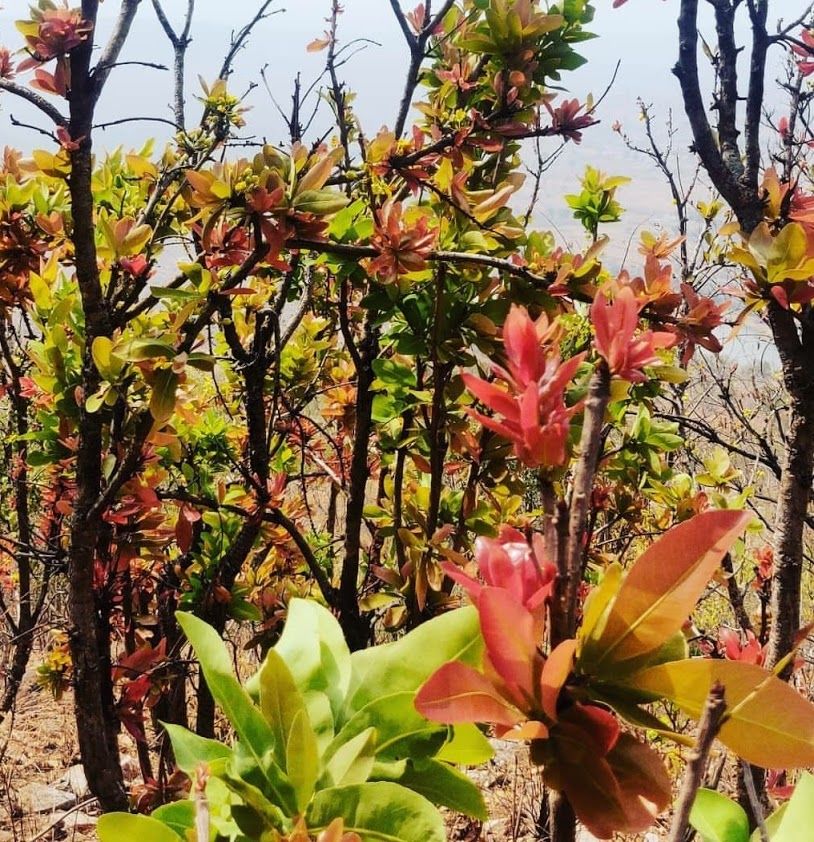 Photo of Makalidurga, Karnataka by globetrotterush5