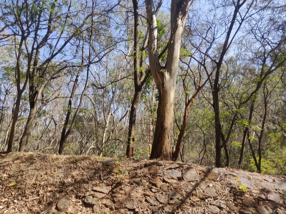 Photo of Horsley Hills, Andhra Pradesh, India by globetrotterush5