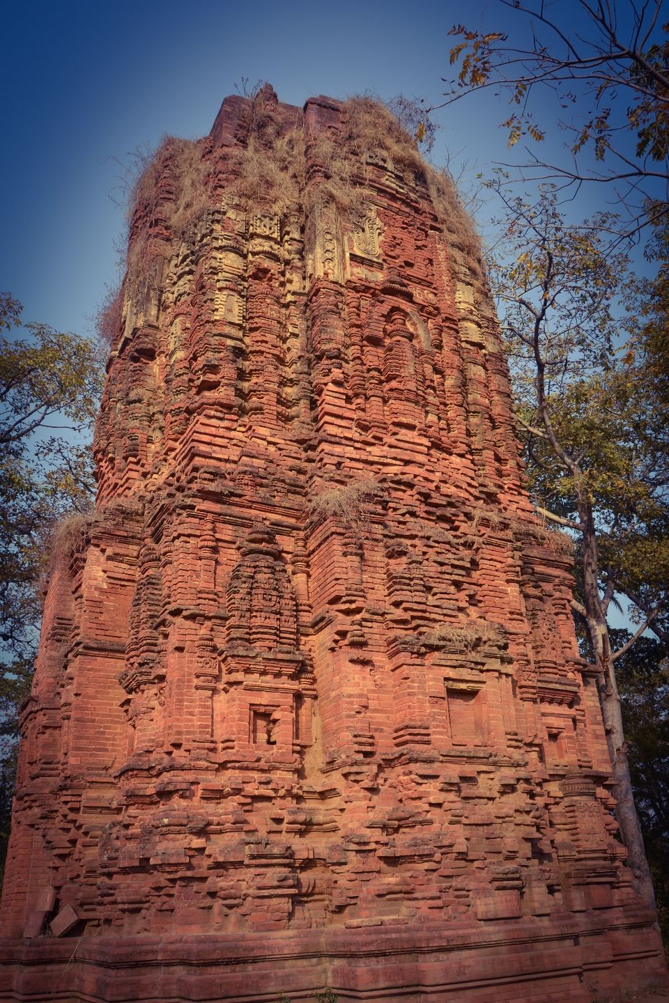 Photo of Murguma, Purulia, West Bengal, India by Sudipto Paul