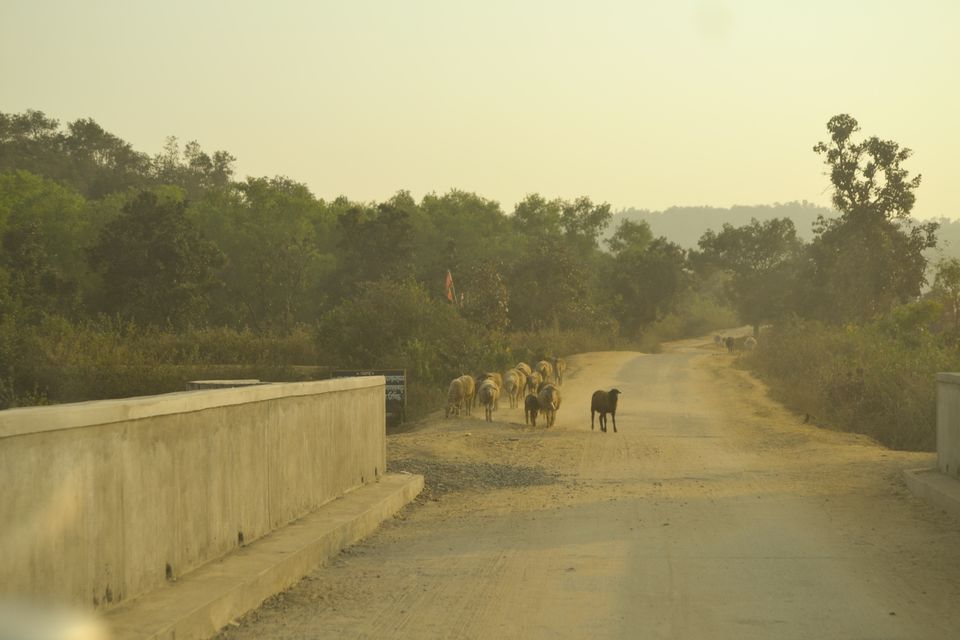 Photo of Murguma, Purulia, West Bengal, India by Sudipto Paul