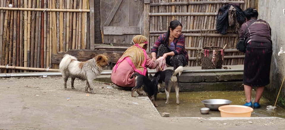Photo of Ziro, Arunachal Pradesh by Julie Kagti