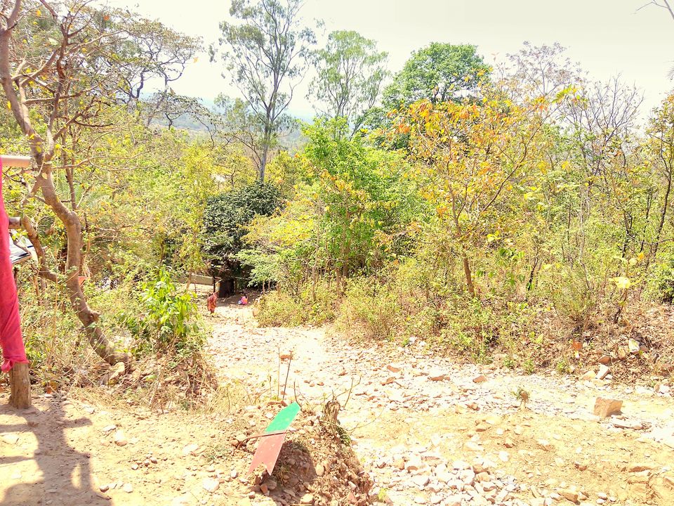 Photo of Hiking Susunia Hill, Bankura, West Bengal 3/9 by Icche Dana