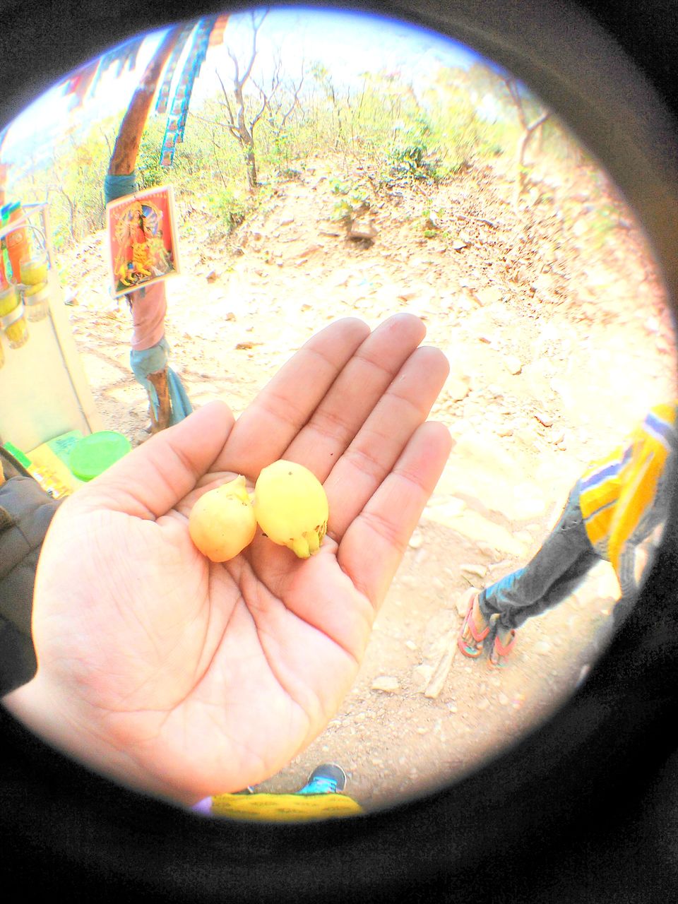 Photo of Hiking Susunia Hill, Bankura, West Bengal 5/9 by Icche Dana