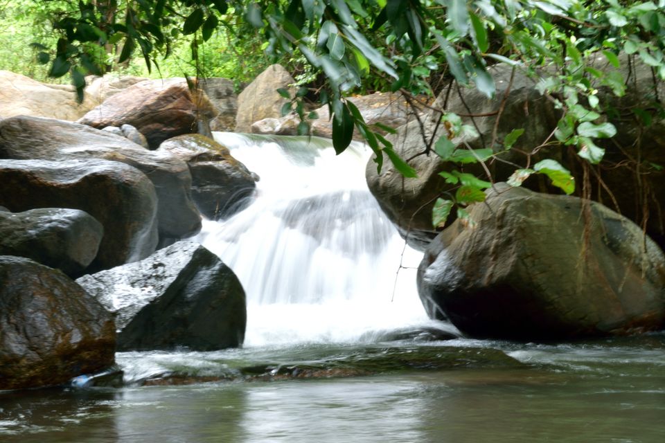 Photo of Seetharkundu Waterfalls Nelliyampathy, Sitargundu Estate, Kollengode South, Kerala, India by lensman_wanderer