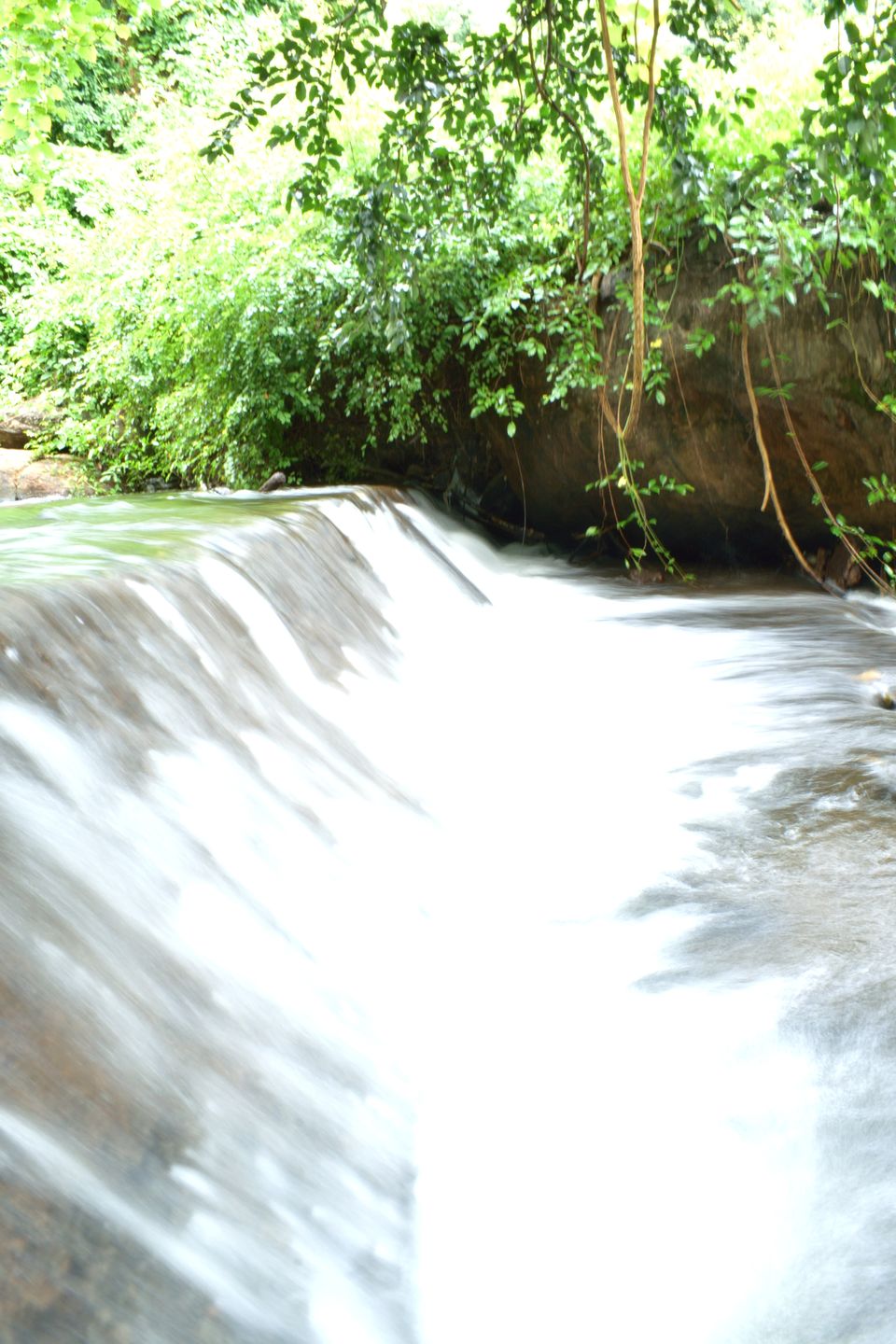 Photo of Seetharkundu Waterfalls Nelliyampathy, Sitargundu Estate, Kollengode South, Kerala, India by lensman_wanderer