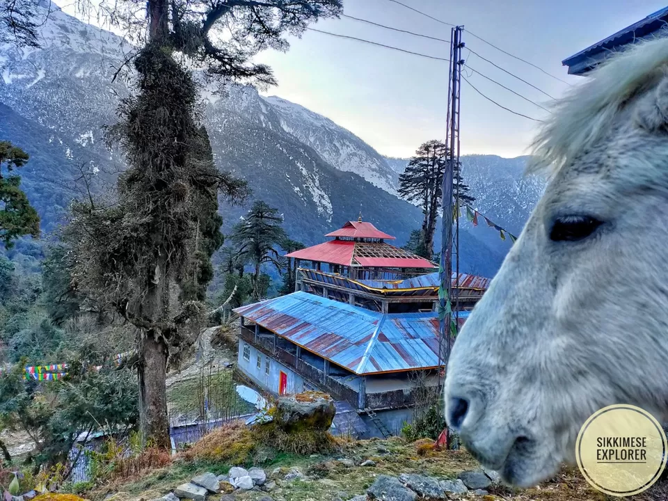 Photo of Unexplored North Sikkim- Tholung Monastery by ZIMBA vlogs