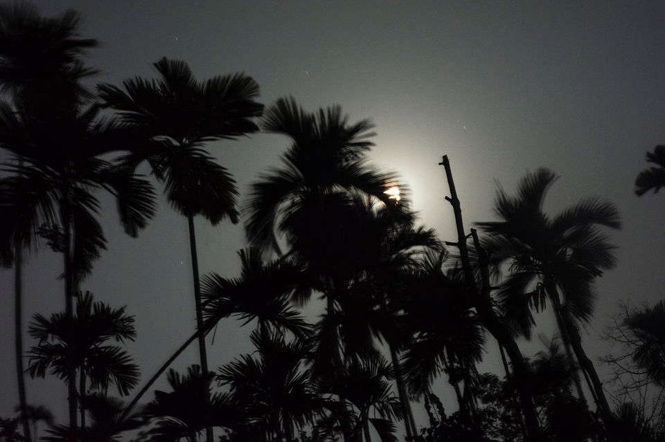Photo of Meghalaya, India by Gaurav Kumar