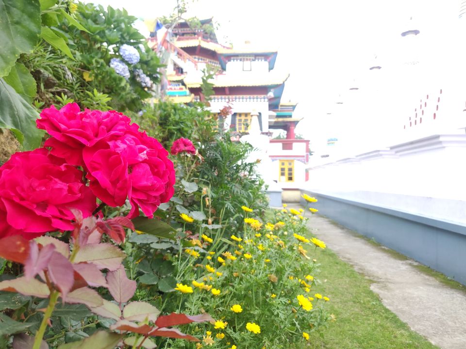 Photo of New Jalpaiguri Jn., Ward 35, Nayapara, Siliguri, West Bengal, India by Puneet Agarwal
