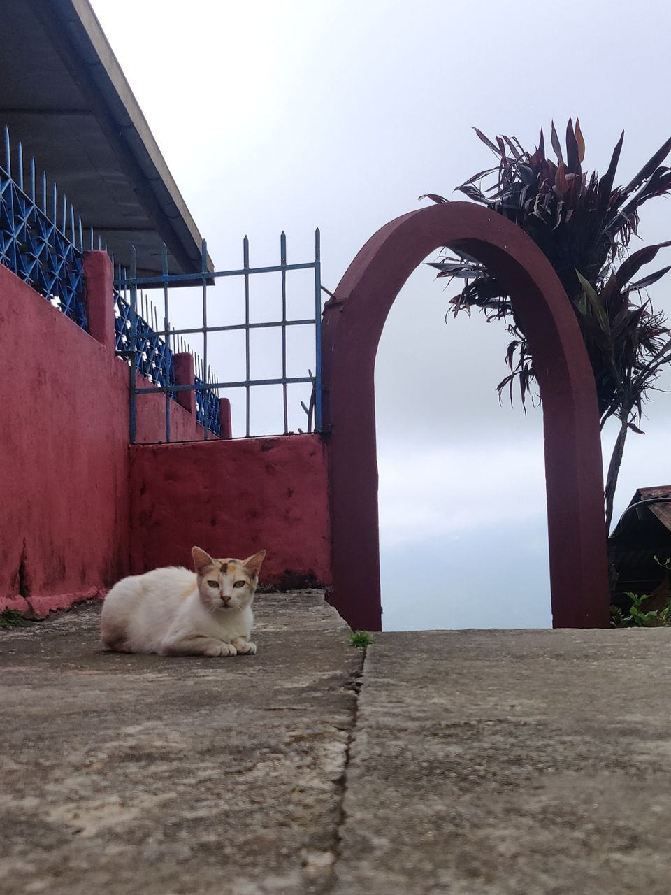 Photo of New Jalpaiguri Jn., Ward 35, Nayapara, Siliguri, West Bengal, India by Puneet Agarwal