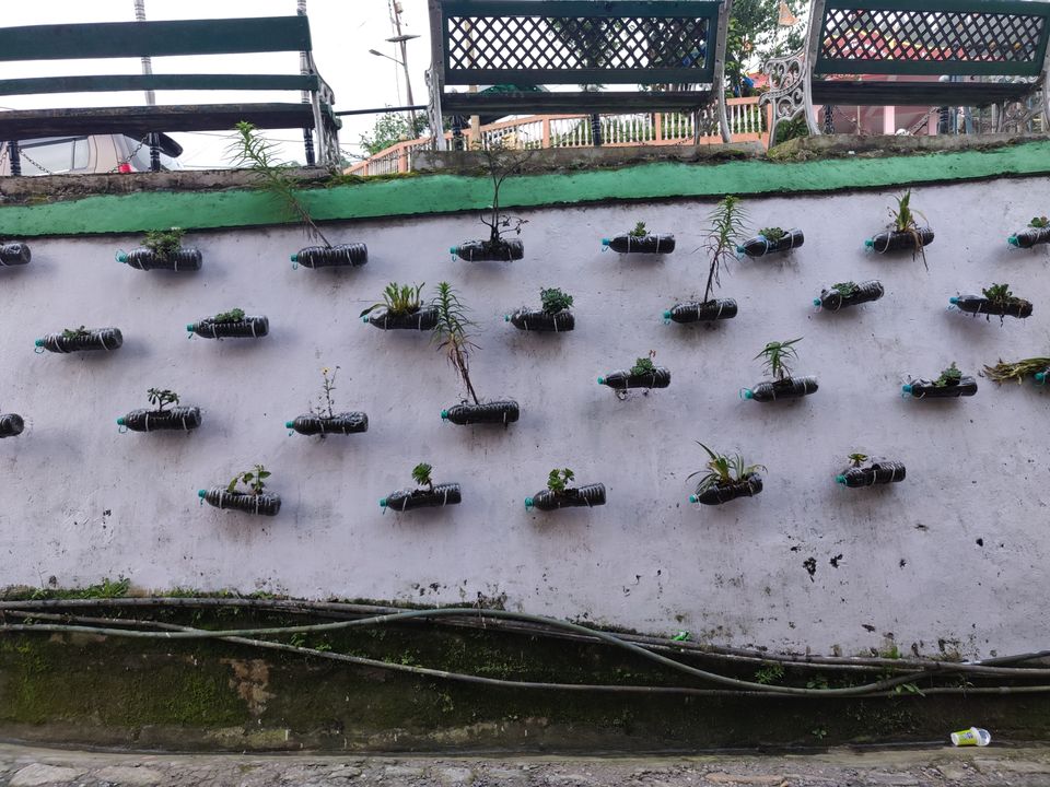 Photo of Lava, West Bengal, India by Puneet Agarwal