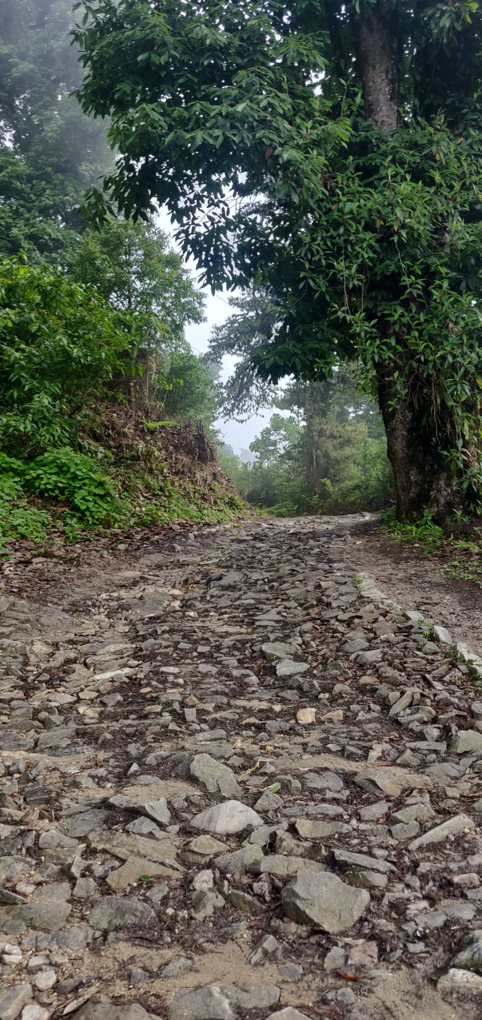 Photo of Rishop, West Bengal, India by Puneet Agarwal