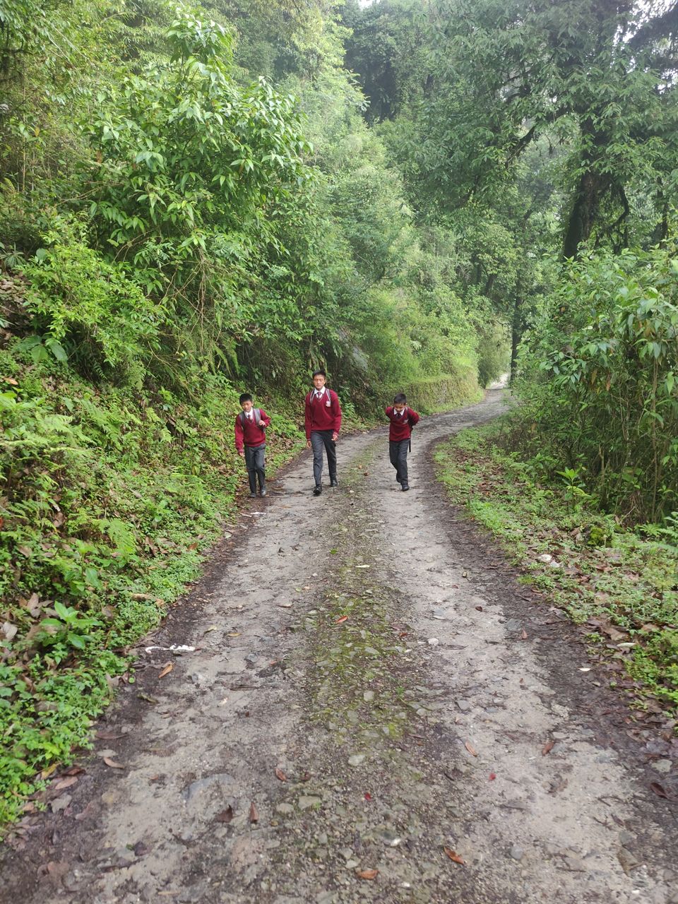 Photo of Rishop, West Bengal, India by Puneet Agarwal