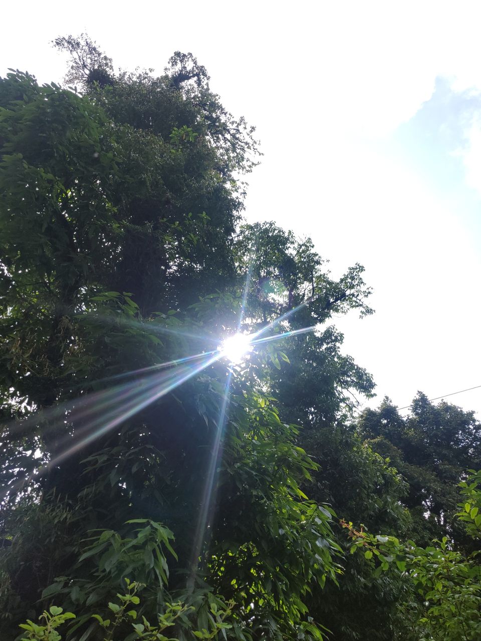 Photo of Rishop, West Bengal, India by Puneet Agarwal