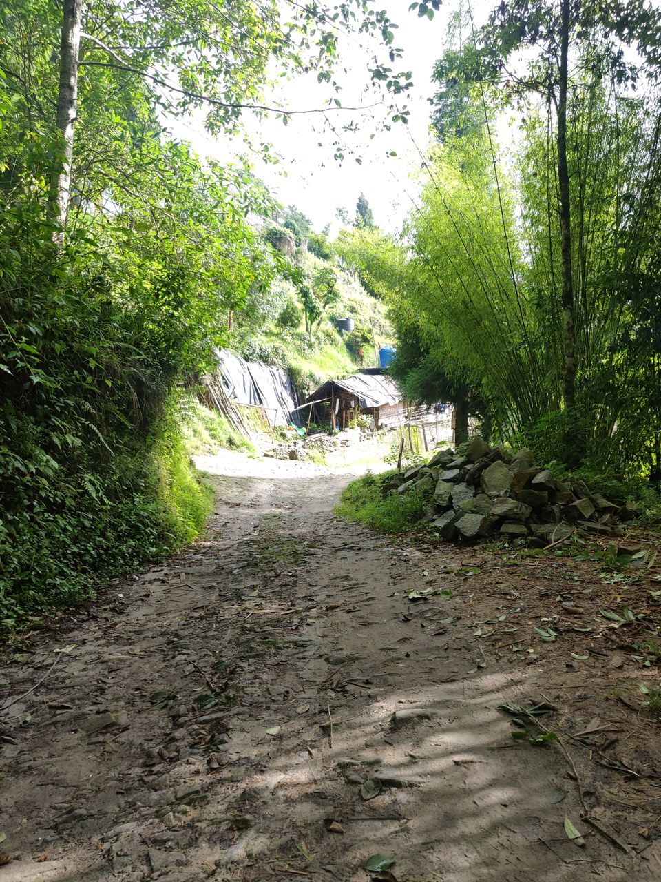 Photo of Rishop, West Bengal, India by Puneet Agarwal