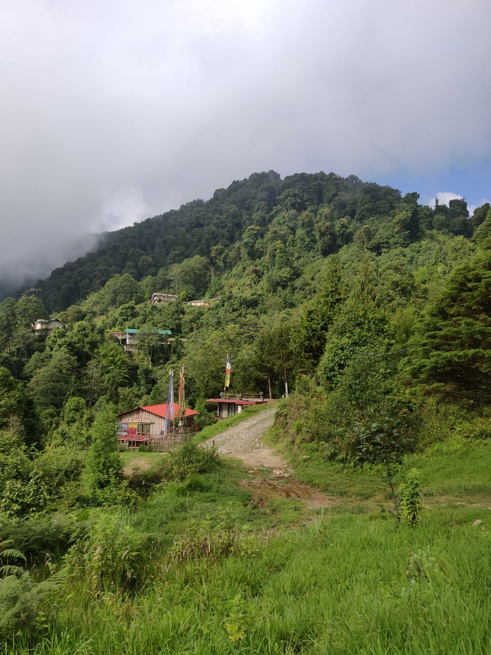 Photo of Rishop, West Bengal, India by Puneet Agarwal